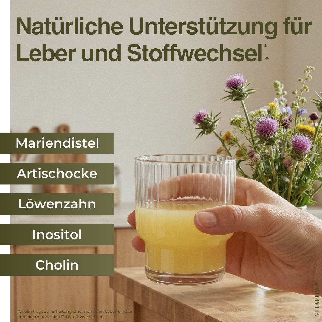 Leber-Komplex: Mariendistel, Artischocke, Löwenzahn, Cholin, Inositol