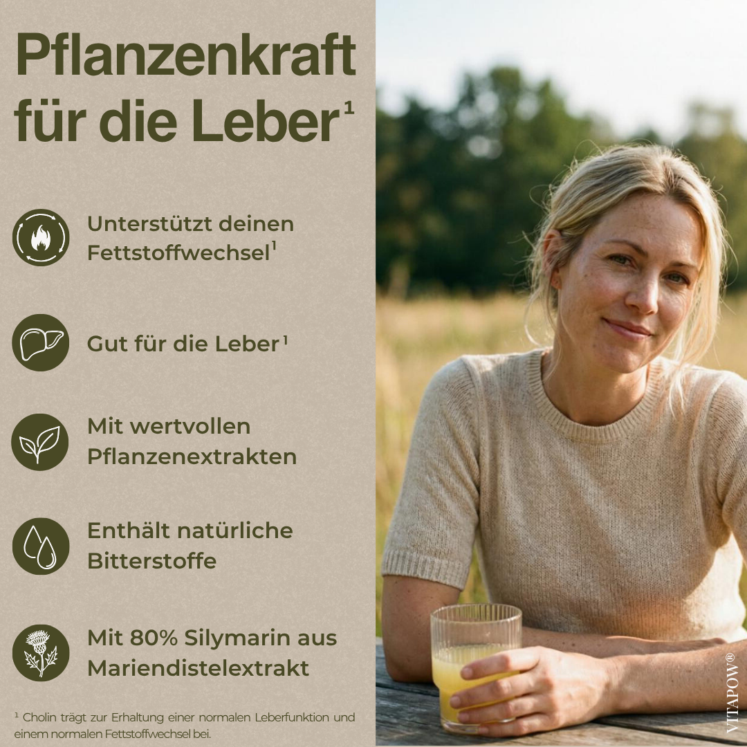Leber-Komplex