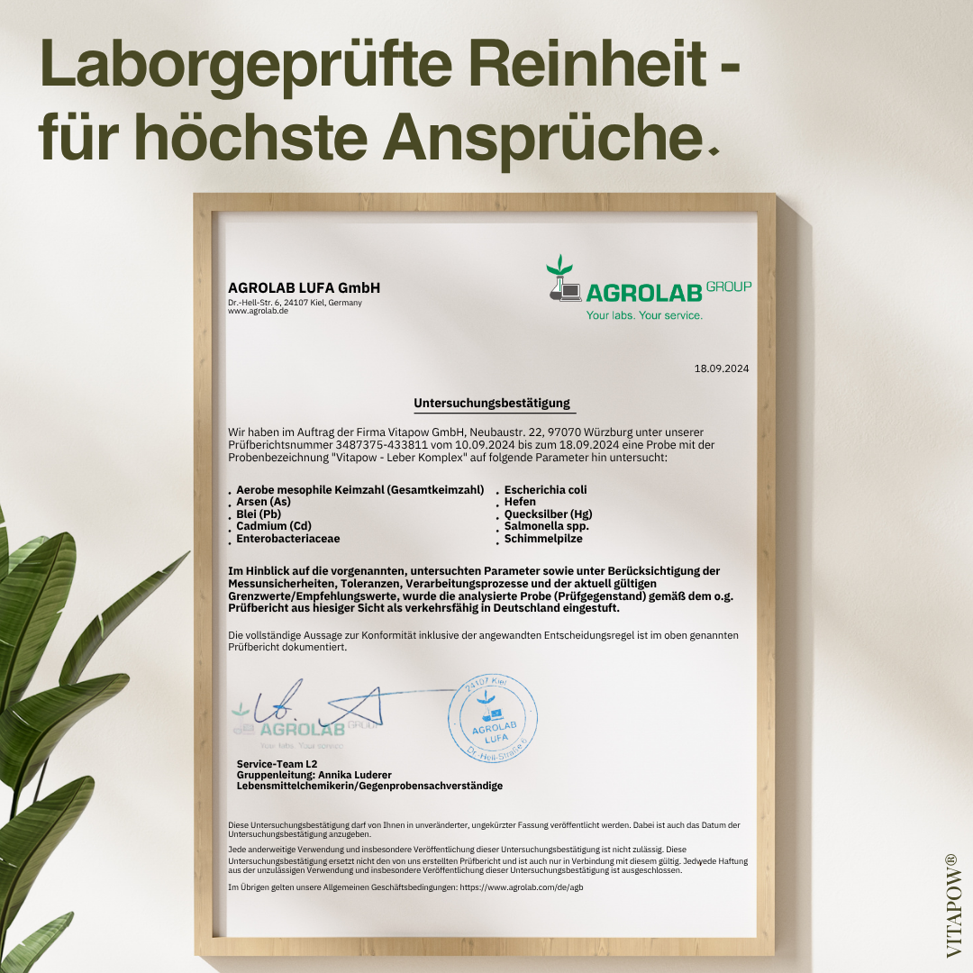 Leber-Komplex: Mariendistel, Artischocke, Löwenzahn, Cholin, Inositol