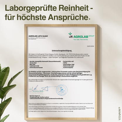 Leber-Komplex: Mariendistel, Artischocke, Löwenzahn, Cholin, Inositol