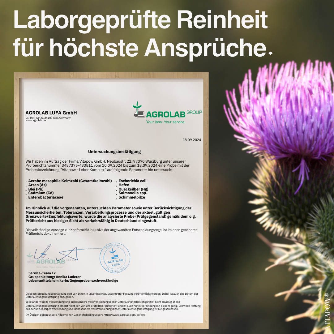 Leber-Komplex: Mariendistel, Artischocke, Löwenzahn, Cholin, Inositol