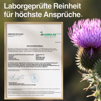 Leber-Komplex: Mariendistel, Artischocke, Löwenzahn, Cholin, Inositol