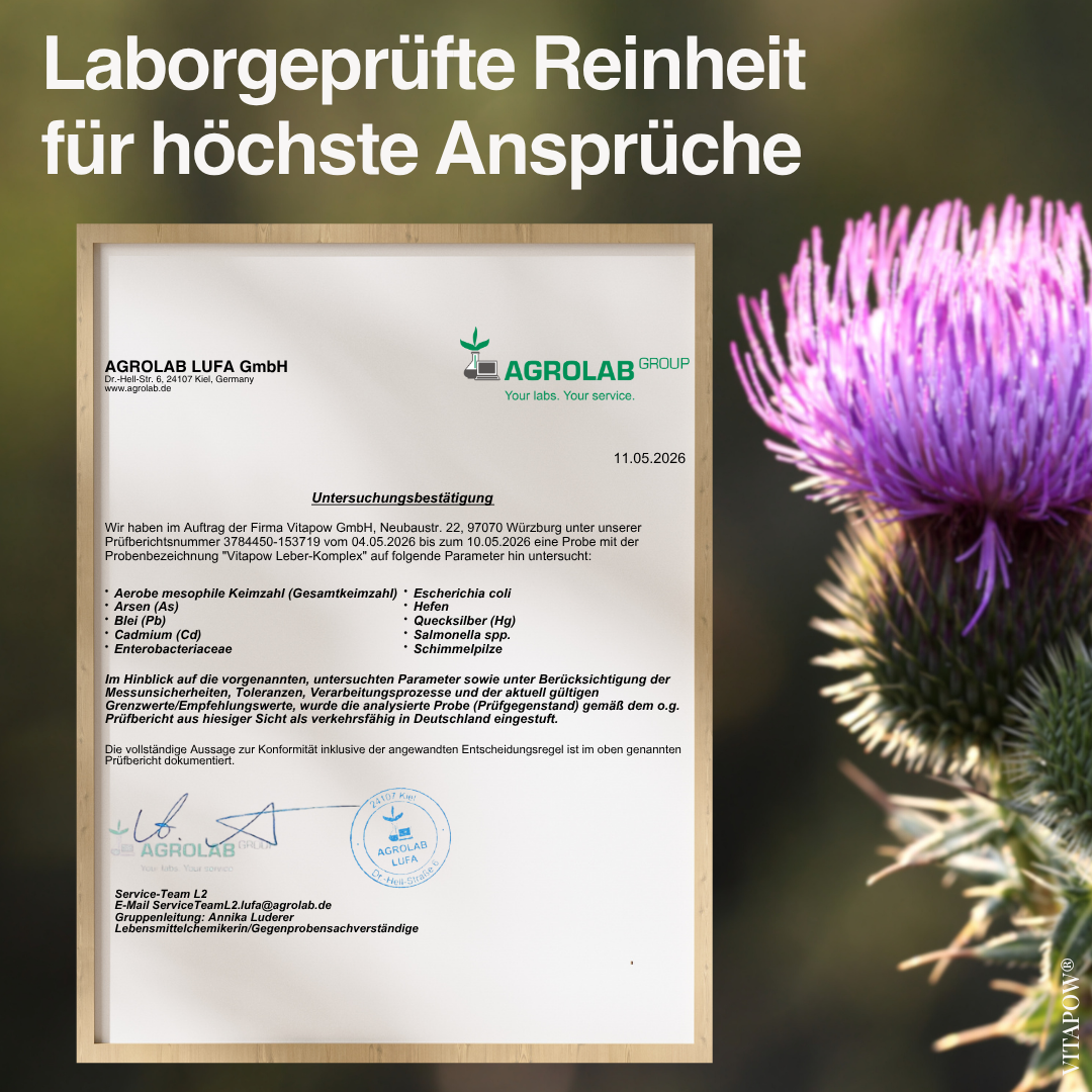 Leber-Komplex