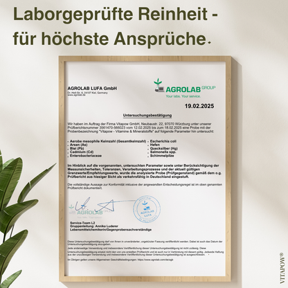 Multivitamin-Pulver + Magnesium, Zink, Selen