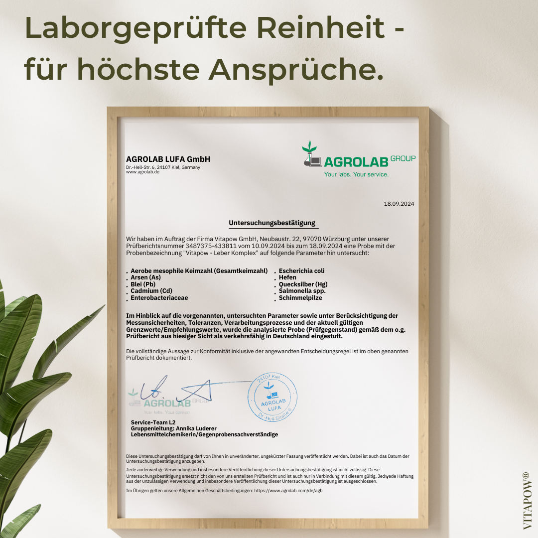 Leber-Komplex: Mariendistel, Artischocke, Löwenzahn, Cholin, Inositol