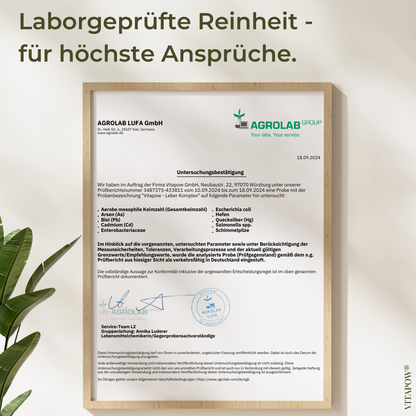 Leber-Komplex: Mariendistel, Artischocke, Löwenzahn, Cholin, Inositol